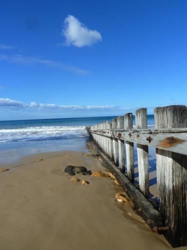 Bells Beach Backpackers3