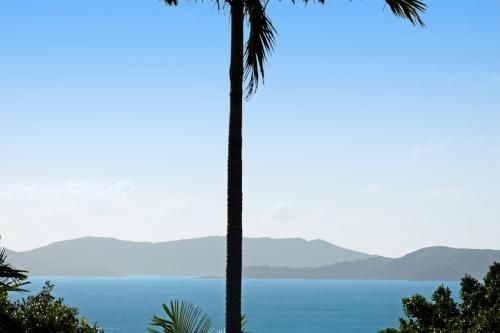 Oasis 25 Hamilton Island0