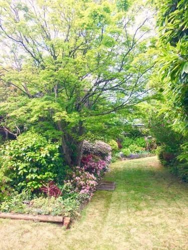 Three Sisters Garden Cottage4