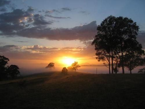 BellbirdHill Bed & Breakfast1