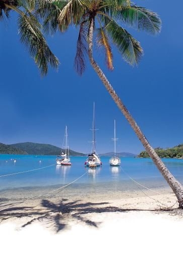 Palm Bay Resort2
