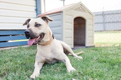 NRMA Dubbo Holiday Park3