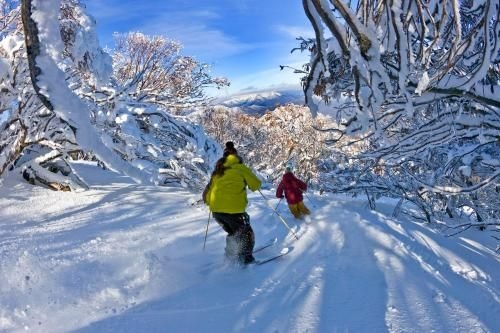 Enzian Hotel Mt Buller1