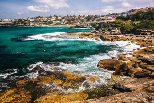 Beautiful Bondi4