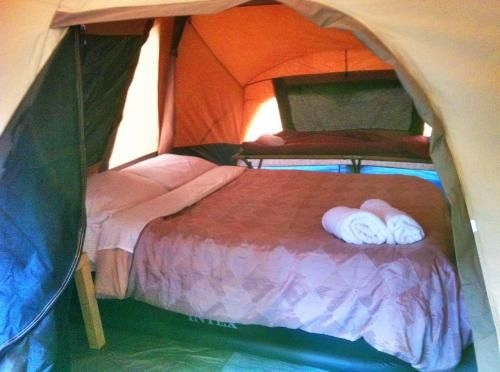 WA Wilderness Glamping2