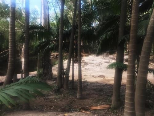 Ferns Hideaway Resort2
