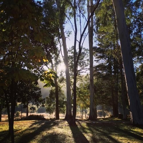 Bright Cabin Park0