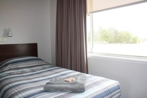 Isis Motel Scone0