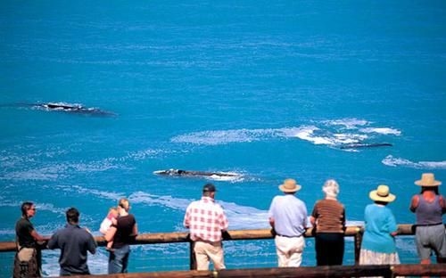Victor Harbor Holiday & Cabin Park2