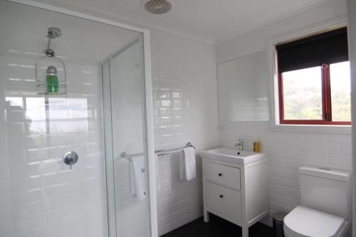 Dolphin Lookout Cottage - amazing views of the Bay of Fires1