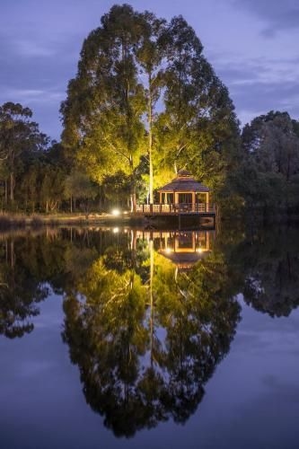 Forest Rise Chalets and Lodge0