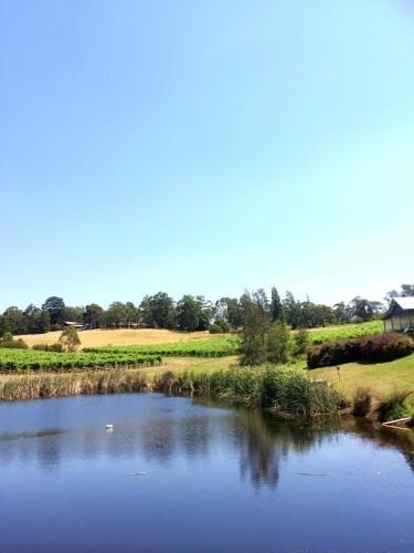 Seville Estate4