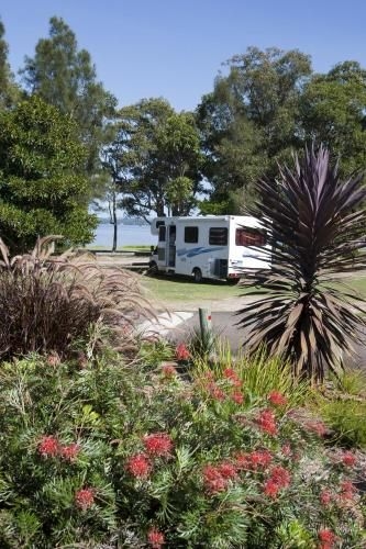 Budgewoi Holiday Park3