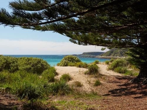 NRMA Murramarang Beachfront Holiday Resort4
