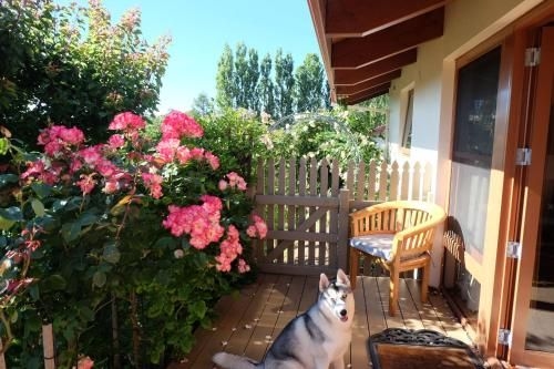 Grindelwald Lodge and Gardens3