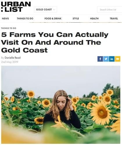 Farm & Co-sy2