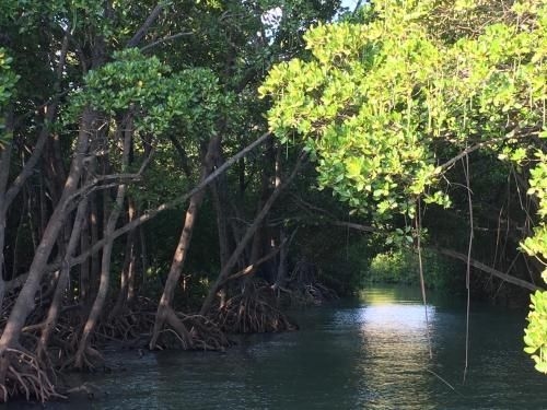 Shambhala Retreat Magnetic Island Cottages3