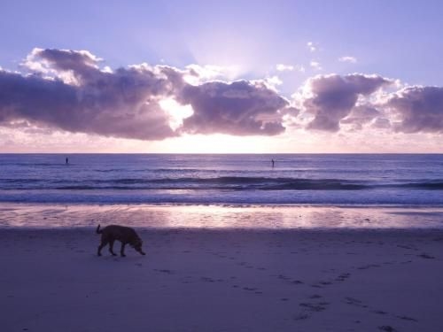 CHILL-OUT BEACH HOUSE @ FORSTER3