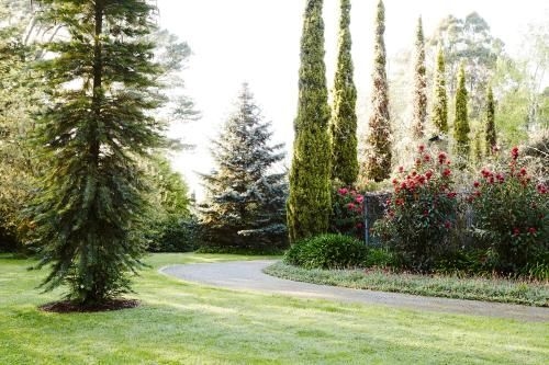 Beechmont Garden Retreat2
