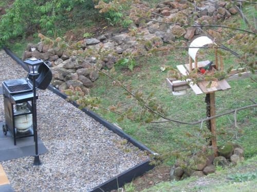 Bellview3