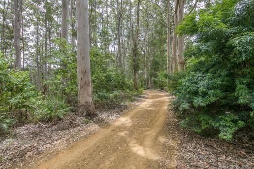 Karrak Reach Forest Retreat4