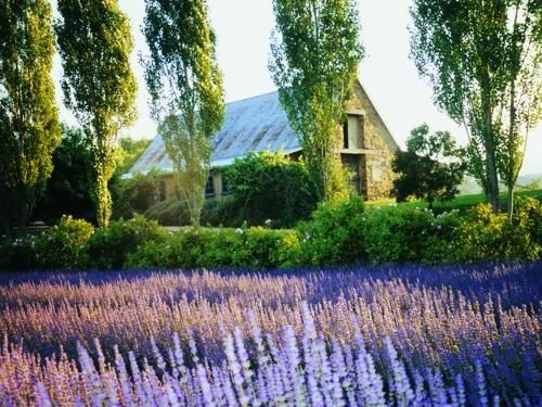 Daylesford Hotel1