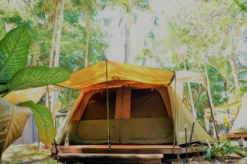 Dougies Backpackers Resort4