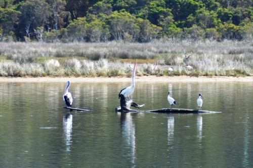 Kalgan River Chalets and Caravan Park3