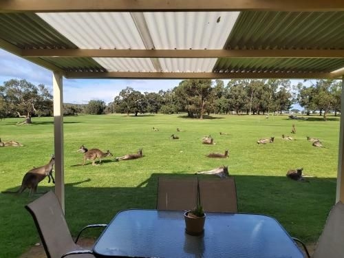 Kalgan River Chalets and Caravan Park2