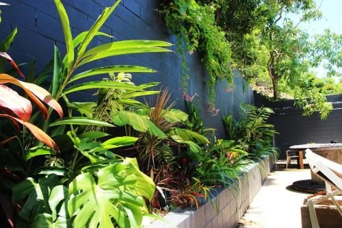 Yeppoon Beachhouse3