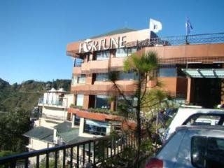 Fortune Resort Grace Mussorie2