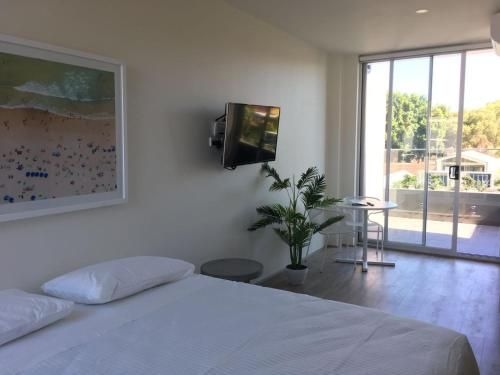 Bondi Beach Studio Penthouse Suite + Balcony2
