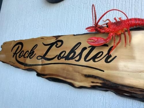 Rock Lobster1
