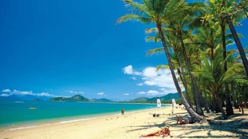Tranquility Chill at Palm Cove2