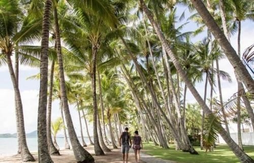 Tranquility Chill at Palm Cove1