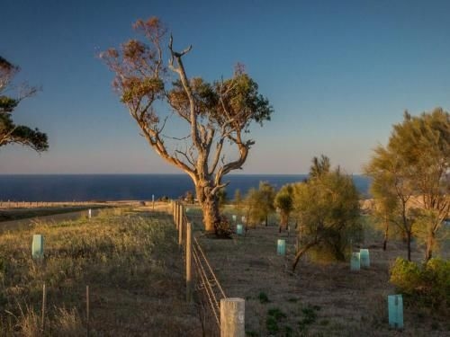 Fleurieu Coastal Retreat - Lot 150 Myponga Beach Road4