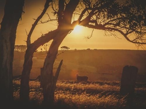 Fleurieu Coastal Retreat - Lot 150 Myponga Beach Road2