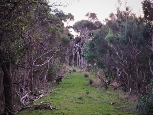 Banksia Park Estate1