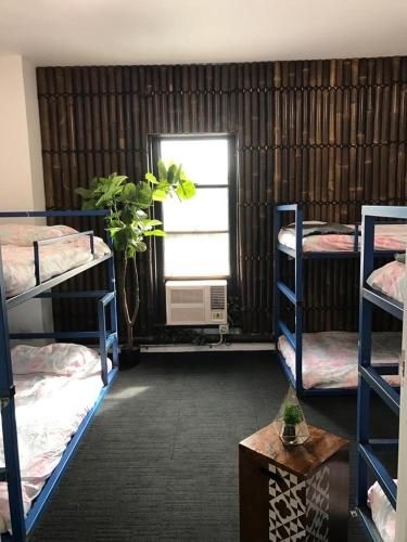 Melbourne Hostel4