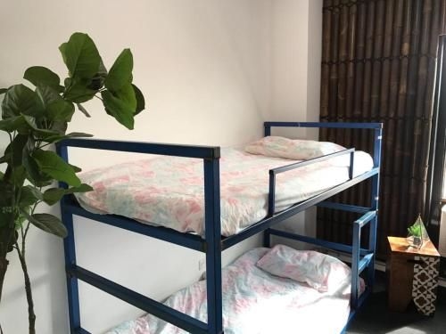 Melbourne Hostel1
