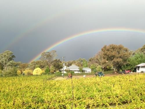 Mortimers Wines - The Canopy Loft3
