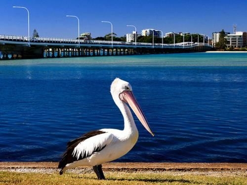 Parkside Marina 1 - CBD Location4
