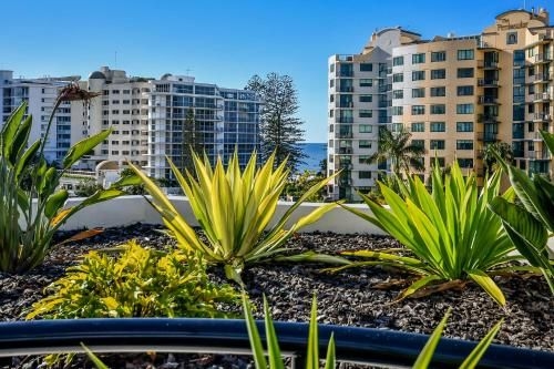 แคริบเบียน รีสอร์ต มูลูลาบา (Caribbean Resort Mooloolaba)3
