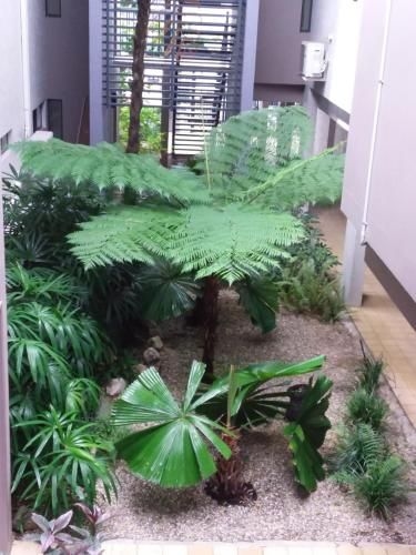 Jackies Studio Apartment4