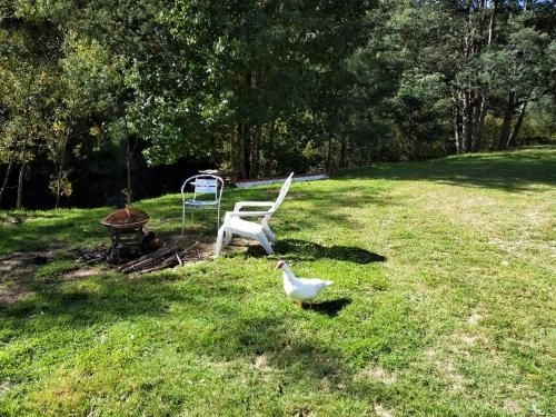 Wanderlust Cottage2