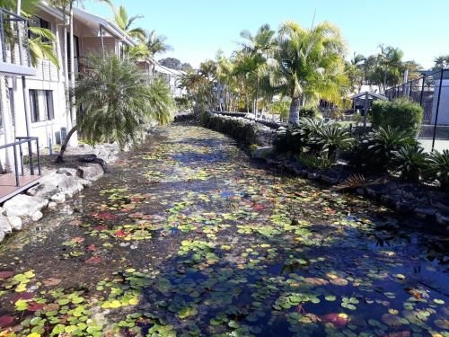 Immaculate 1 bedroom resort holiday unit near Noosa River3