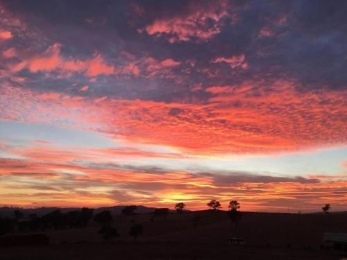 Wirraway Farm-stay3