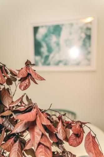 Treasure on Bagot-Free Wifi/Netflix-Close to CBD1