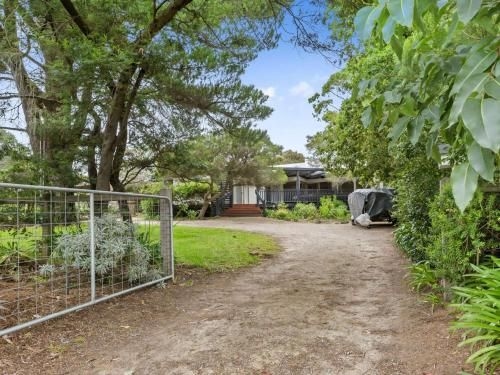 BIRDSONG - MORNINGTON3