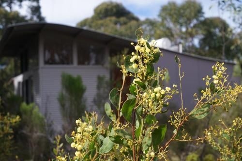 Ridgetop Retreats - Deep Creek Conservation Park2